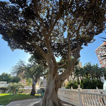 公寓 Aguas Del Mediterraneo *