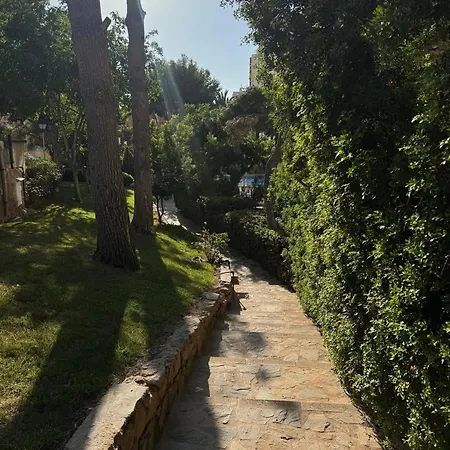 Aguas Del Mediterraneo